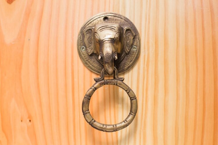Toca puerta elefante - Imagen 3