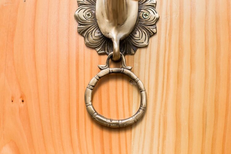 Toca puerta caballo - Imagen 4