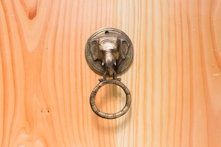 Toca puerta elefante