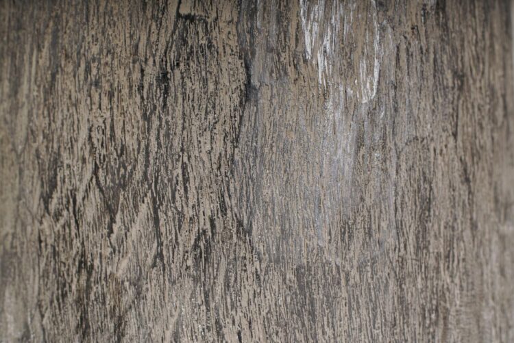Vasija de tronco de palma gris - Imagen 4