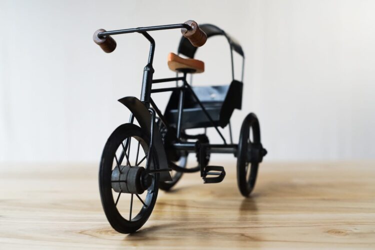 Rickshaw metálico - Imagen 2