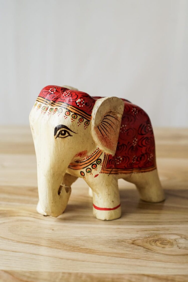 Elefante pintado - Imagen 4
