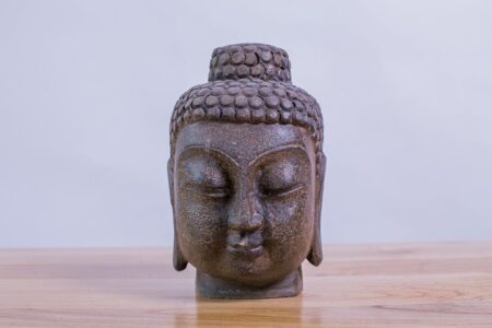 Cabeza de Buda de piedra