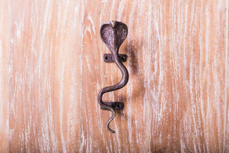Manilla serpiente - Imagen 2