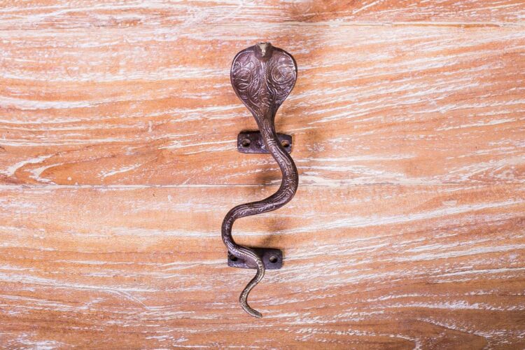 Manilla serpiente