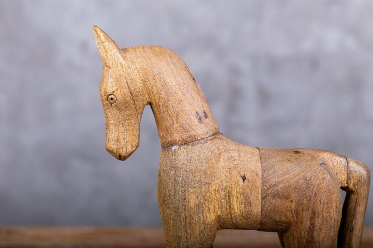 Caballo sobre ruedas - Imagen 2