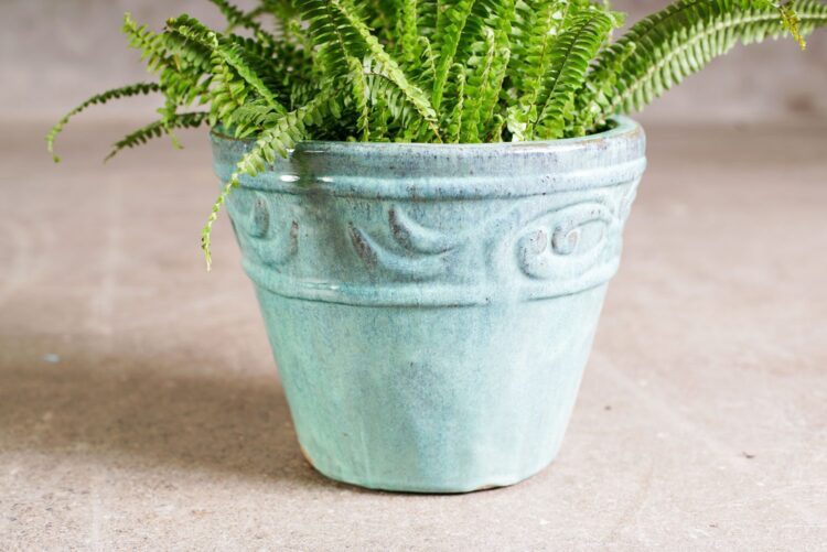 Macetero relieve jade - Imagen 2