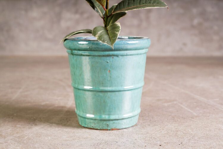 Macetero jade - Imagen 2