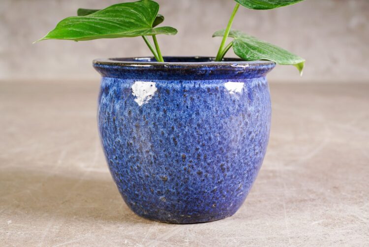 Macetero borde simple azul - Imagen 2