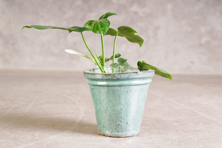 Macetero doble borde jade