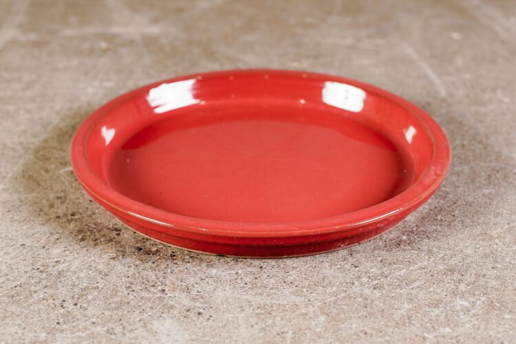 Platos  de colores para macetero chico 21-cm - Imagen 2