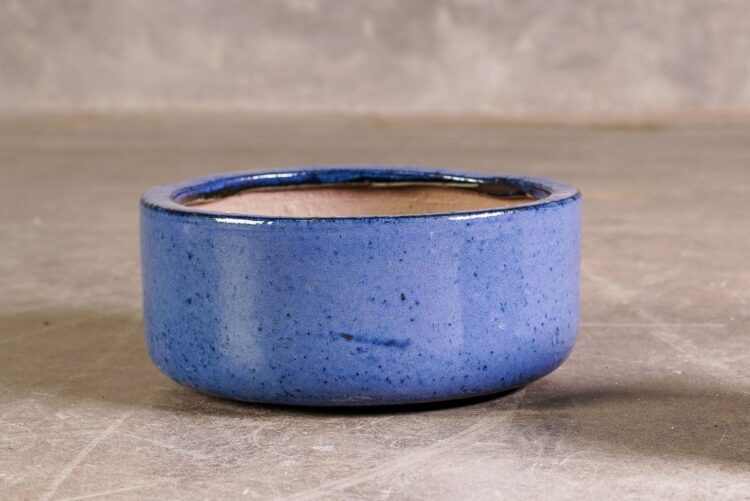 Macetero chato azul - Imagen 3
