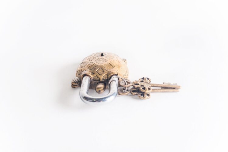 Candado Tortuga - Imagen 2