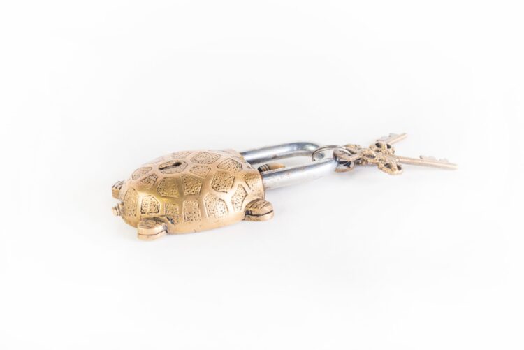 Candado Tortuga - Imagen 6