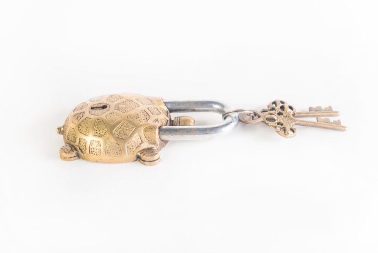 Candado Tortuga - Imagen 4