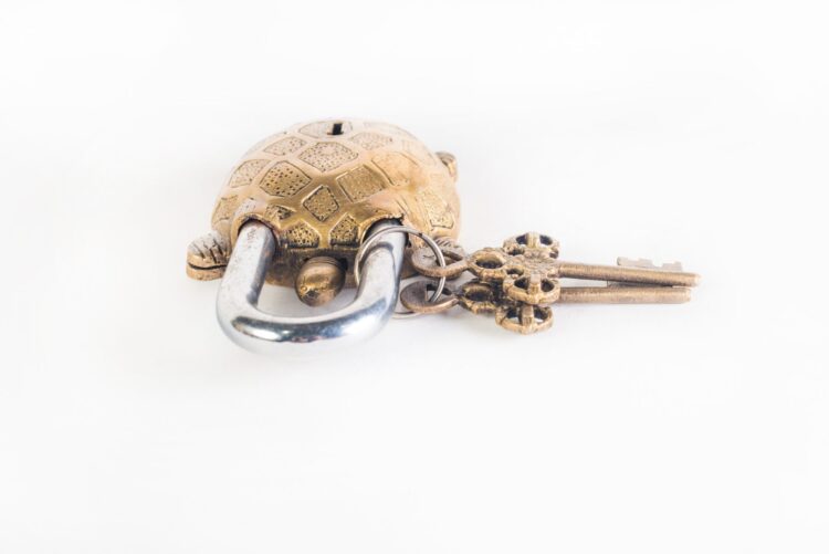 Candado Tortuga - Imagen 3