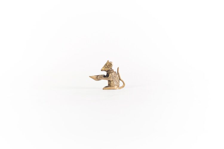 Ratita aceitero bronce - Imagen 4