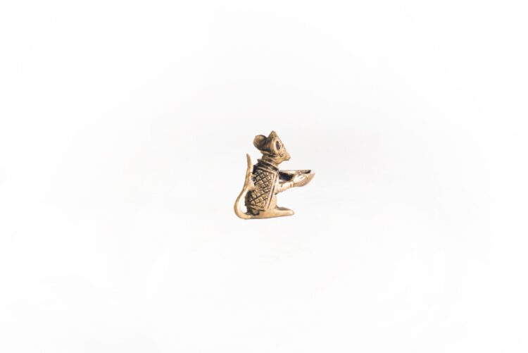 Ratita aceitero bronce - Imagen 5