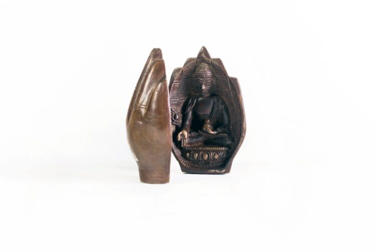Mano de budas - Imagen 4