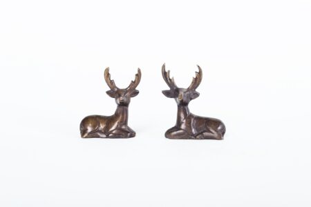 Venado de Bronce