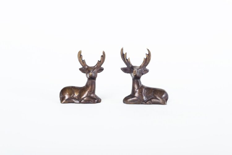 Venado de Bronce
