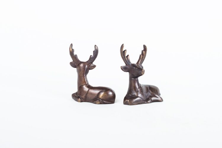 Venado de Bronce - Imagen 3