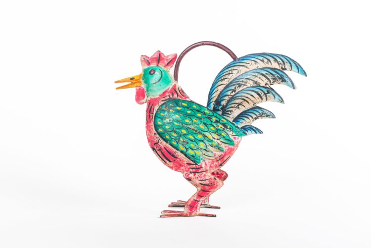 Regadera gallo metal - Imagen 3
