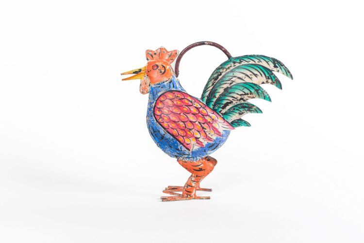 Regadera gallo metal - Imagen 9