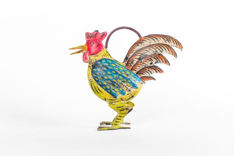 Regadera gallo metal - Imagen 7