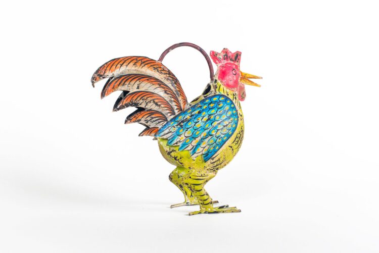 Regadera gallo metal - Imagen 6