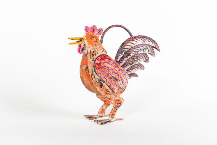 Regadera gallo metal - Imagen 5
